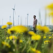 Ein Mann steht auf einem blühenden Feld, im Hintergrund ein Windpark. 